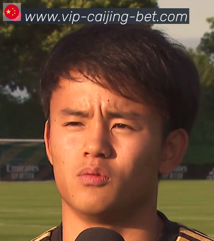 维尼修斯